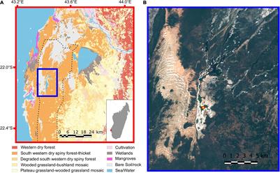 Influence of Late Holocene Climate Change and Human Land Use on Terrestrial and Aquatic Ecosystems in Southwest Madagascar